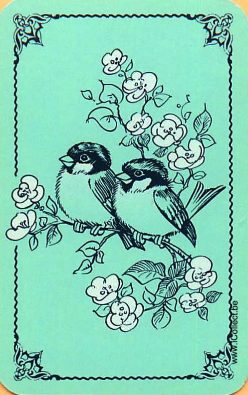 Single Swap Playing Cards Bird ** Mini ** (PS18-56D)