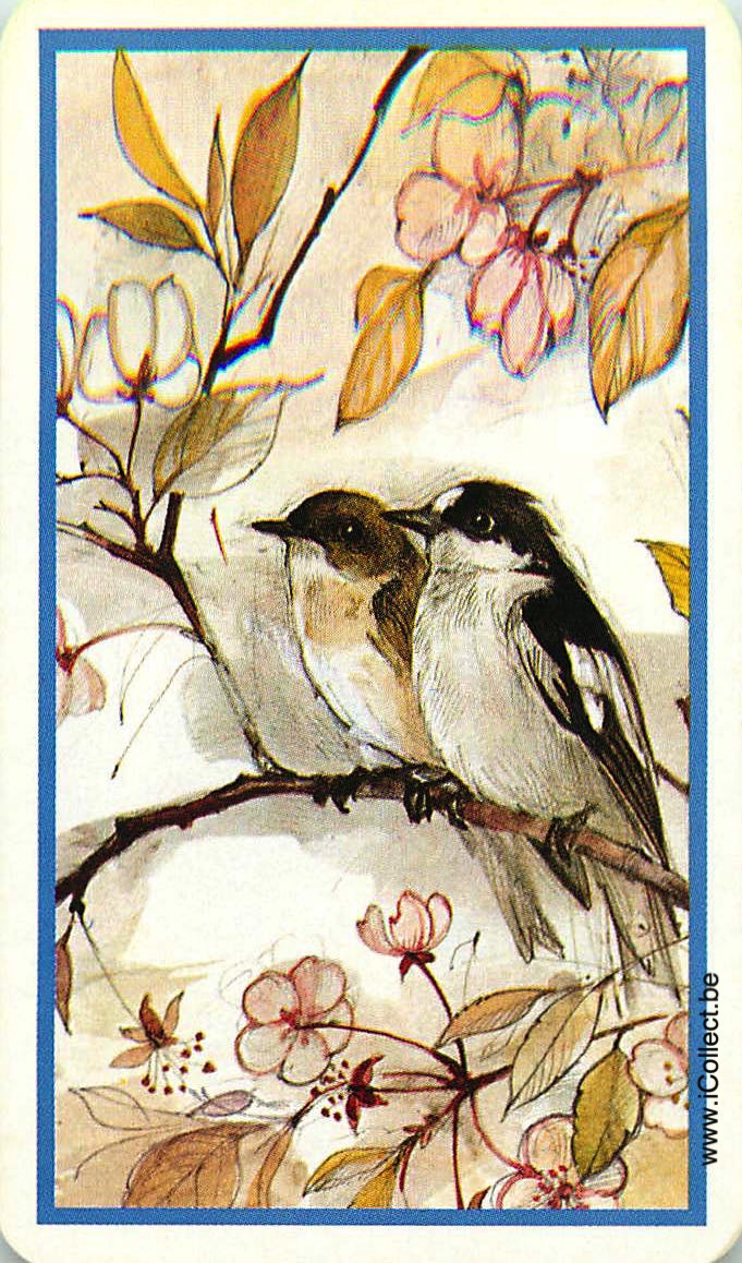 Single Swap Playing Cards Bird (PS18-57A)