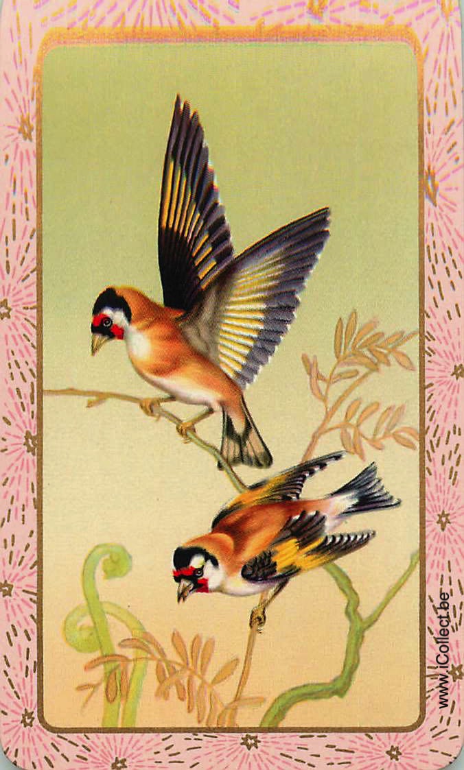 Single Swap Playing Cards Bird (PS18-57E)