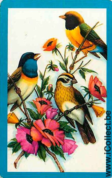 Single Swap Playing Cards Animal Birds (PS12-38C)