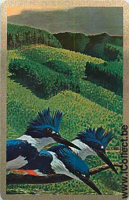 Single Swap Playing Cards Animal Birds (PS12-38G)
