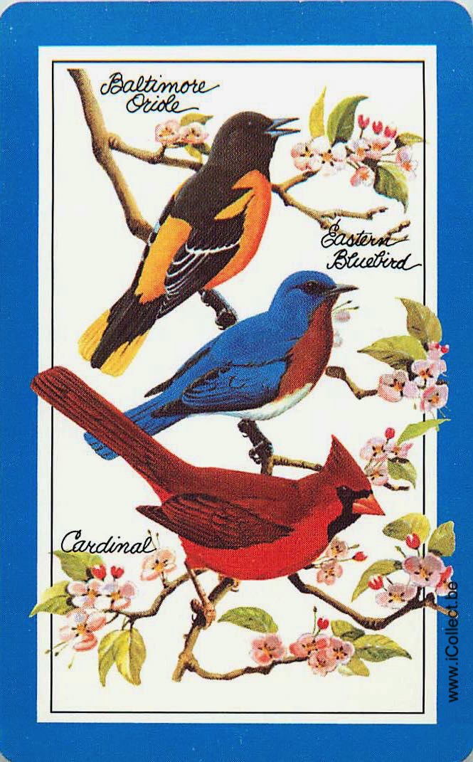 Single Swap Playing Cards Bird (PS12-52G)