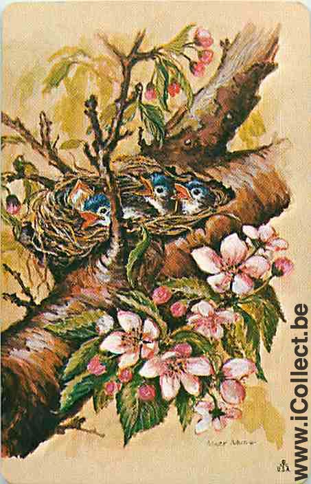 Single Swap Playing Cards Animal Birds (PS12-38H)