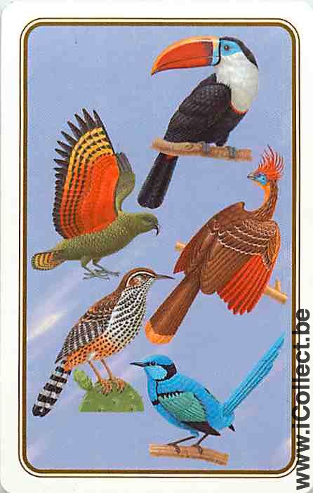 Single Swap Playing Cards Animal Birds (PS12-38I)