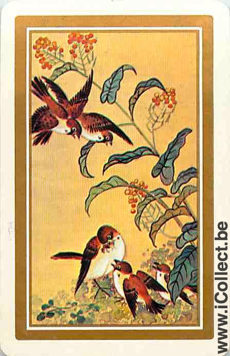 Single Swap Playing Cards Animal Birds (PS12-39A) - Click Image to Close