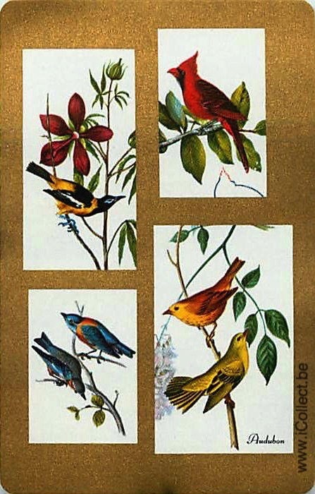 Single Swap Playing Cards Bird Audubon (PS20-49G) - Click Image to Close