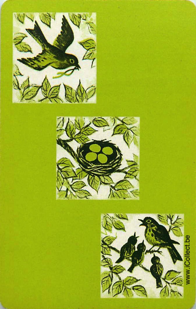 Single Swap Playing Cards Bird (PS12-55F)