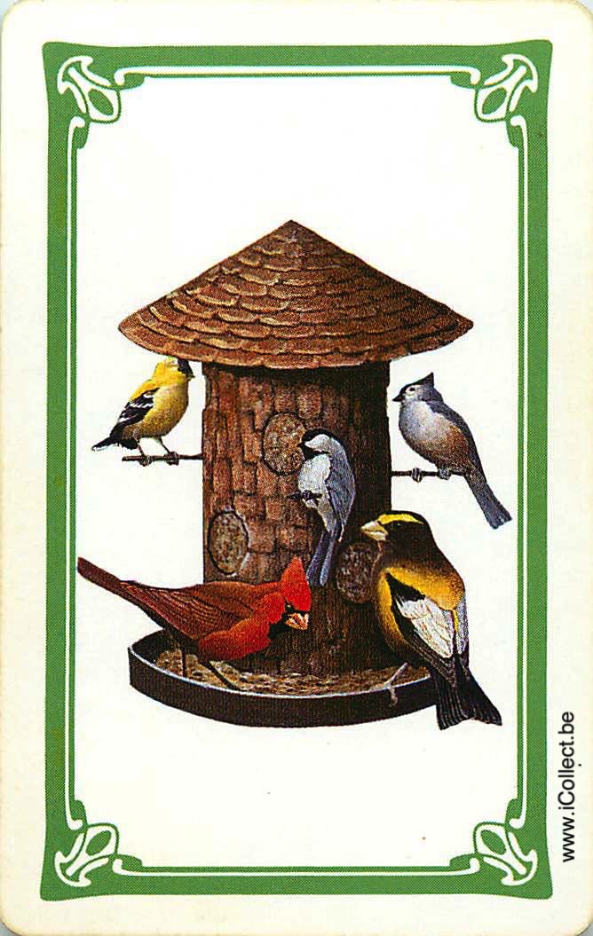 Single Swap Playing Cards Bird (PS12-56A) - Click Image to Close