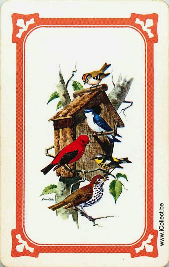 Single Swap Playing Cards Bird (PS12-56C)