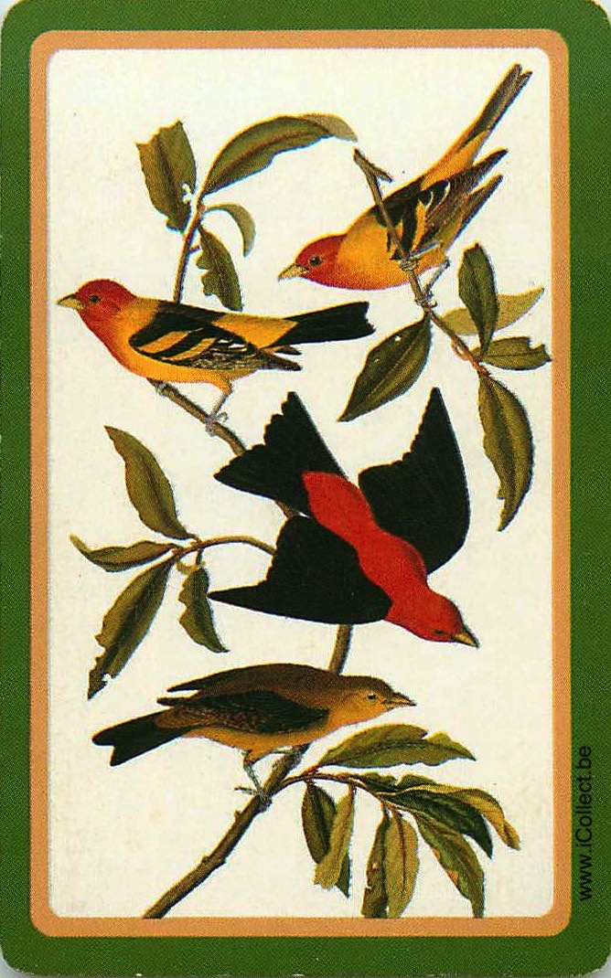 Single Swap Playing Cards Bird (PS12-56F) - Click Image to Close