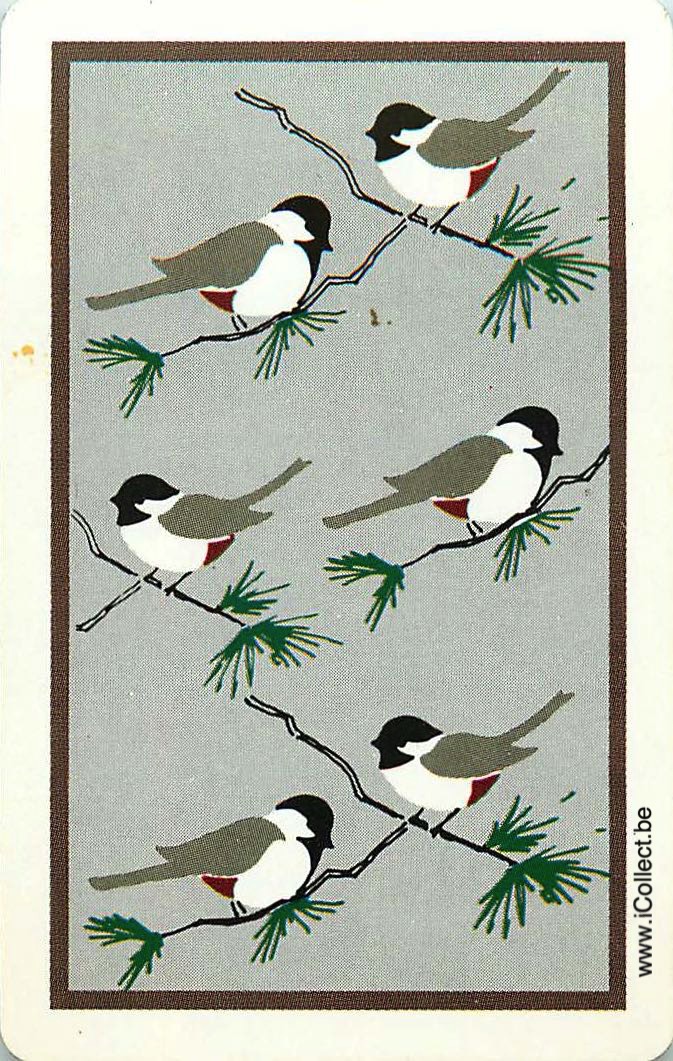 Single Swap Playing Cards Bird (PS11-01I)