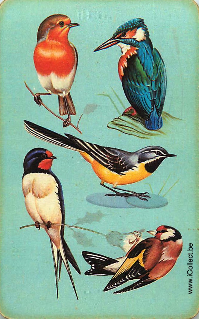 Single Swap Playing Cards Bird (PS18-59A)