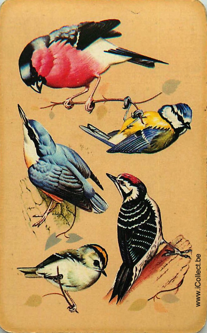 Single Swap Playing Cards Bird (PS18-59C)