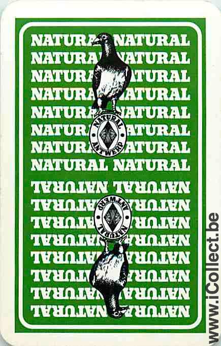Single Swap Playing Cards Animal Bird Natural Antwerp (PS12-40E) - Click Image to Close