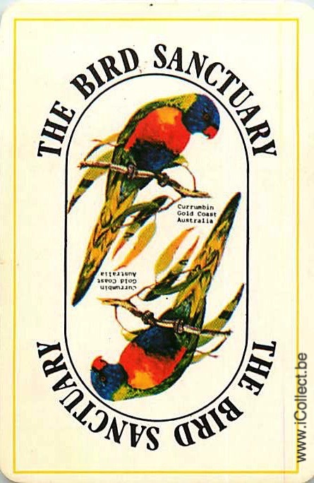 Single Swap Playing Cards Bird Parrots (PS20-31I)