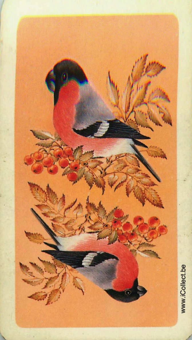 Single Swap Playing Cards Bird (PS18-11C)