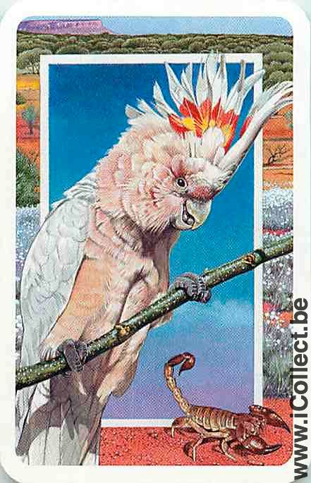 Single Swap Playing Cards Animal Bird Parrot (PS23-06A) - Click Image to Close