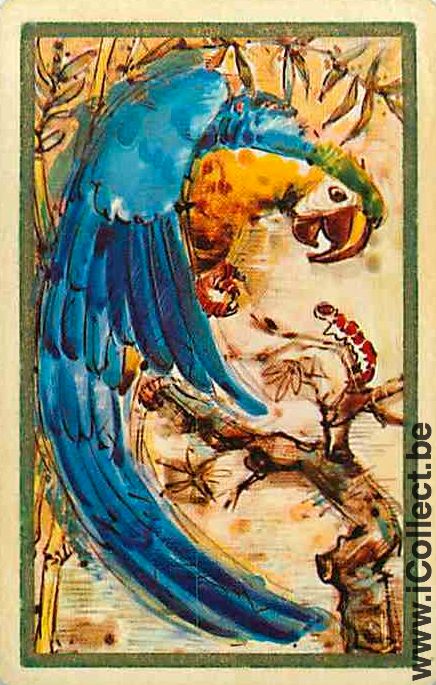 Single Swap Playing Cards Animal Bird Parrot (PS12-24F)