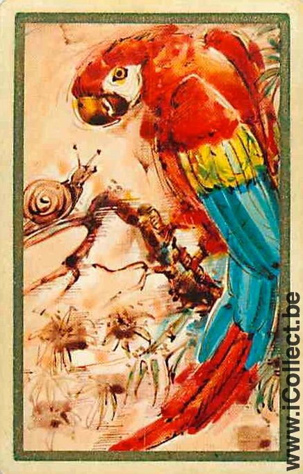Single Swap Playing Cards Animal Bird Parrot (PS12-28D) - Click Image to Close