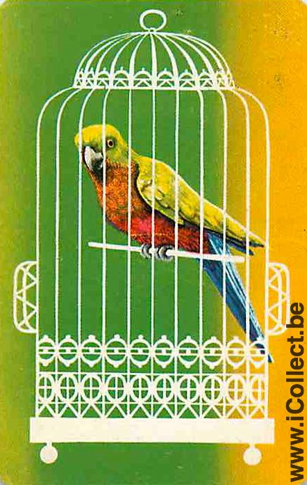 Single Swap Playing Cards Animal Bird Parrot (PS04-51A)