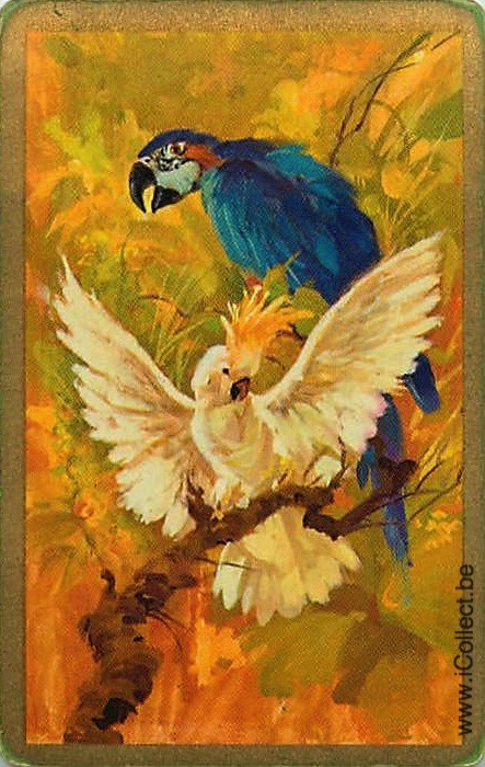 Single Swap Playing Cards Bird Parrots (PS20-30I)