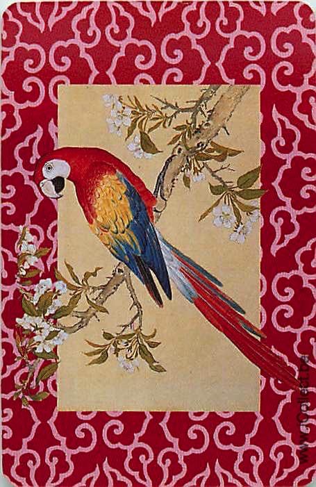 Single Swap Playing Cards Bird Parrots (PS20-32B)