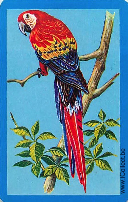 Single Swap Playing Cards Bird Parrots (PS20-32I)