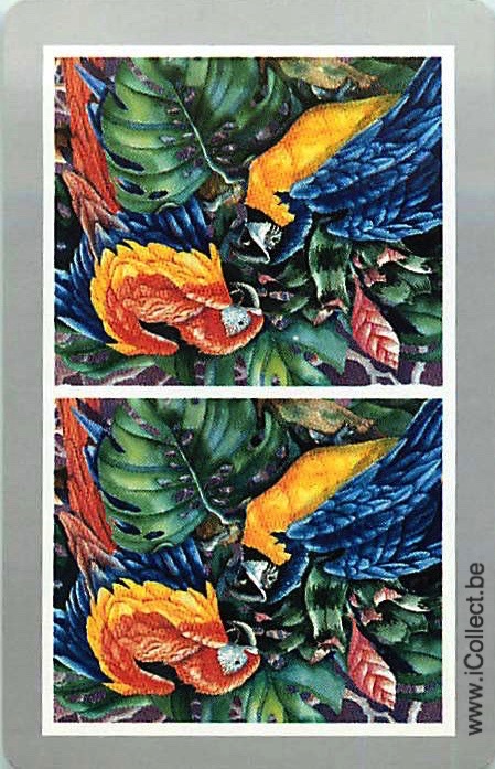 Single Swap Playing Cards Bird Parrots (PS20-33H)