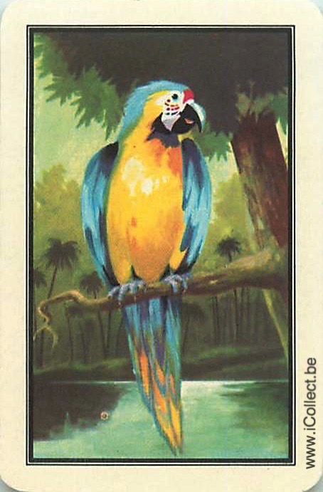 Single Swap Playing Cards Bird Parrots (PS20-34B)