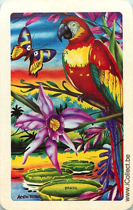 Single Swap Playing Cards Bird Parrots (PS20-34D)