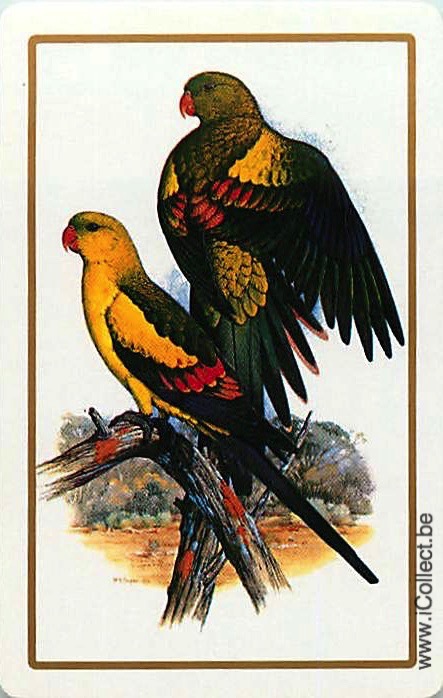 Single Swap Playing Cards Bird Parrots (PS20-34E)