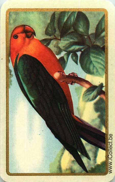 Single Swap Playing Cards Bird Parrots (PS20-34H)