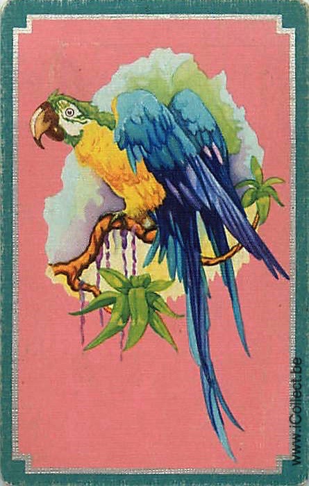 Single Swap Playing Cards Bird Parrots (PS20-35D)