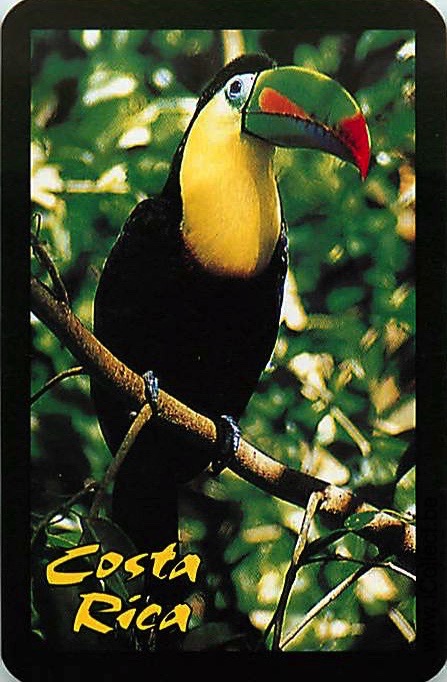 Single Swap Playing Cards Bird Costa Rica (PS20-54G)