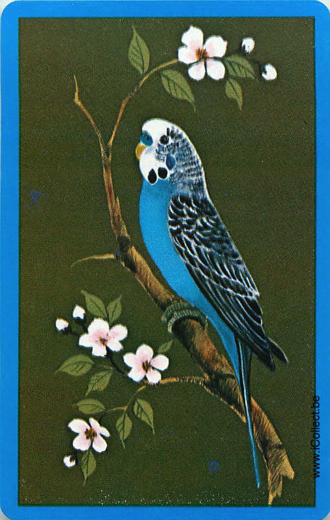 Single Swap Playing Cards Bird Parrot (PS20-44C)