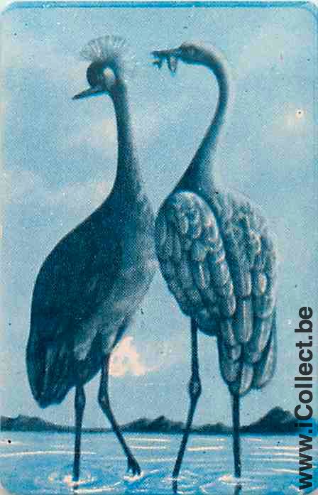 Single Playing Cards Bird Wading (PS16-12B) - Click Image to Close