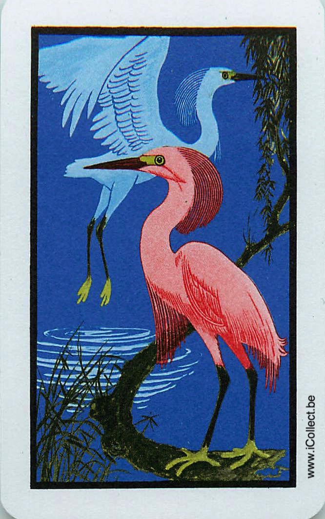 Single Swap Playing Cards Bird Wading (PS18-47G)