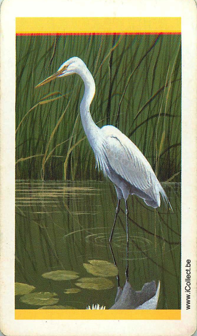 Single Swap Playing Cards Bird Wading (PS18-49A)