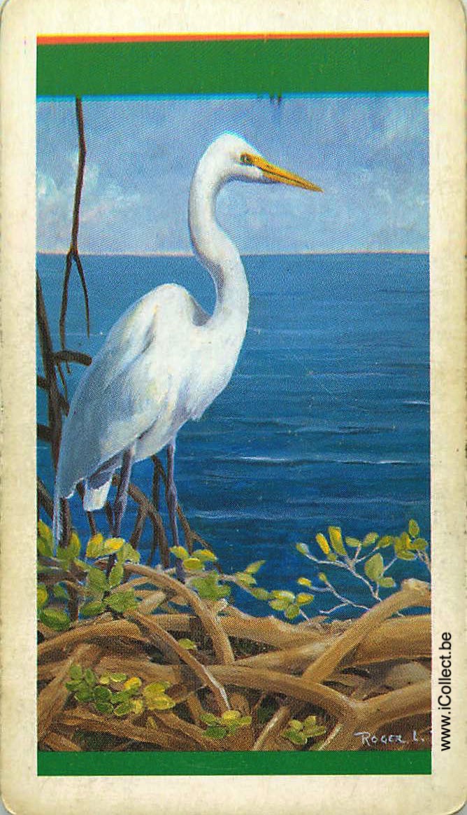 Single Swap Playing Cards Bird Wading (PS18-49F)