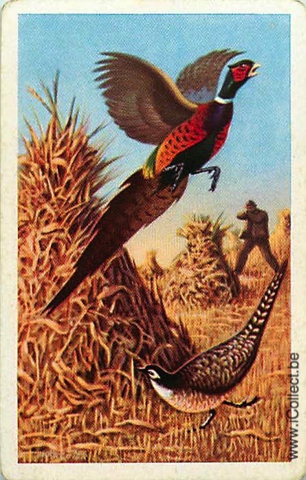 Single Swap Playing Cards Bird Pheasant (PS20-55F)