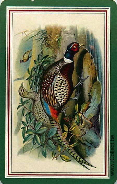 Single Swap Playing Cards Bird Pheasant (PS20-55G)