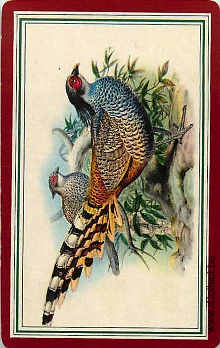 Single Swap Playing Cards Bird Pheasant (PS20-55H)