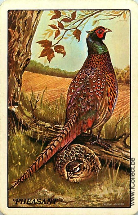 Single Swap Playing Cards Bird Pheasant (PS20-56A)