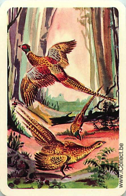 Single Swap Playing Cards Bird Pheasant (PS20-56B)