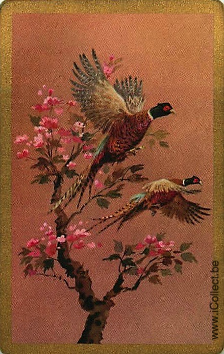 Single Swap Playing Cards Bird Pheasants (PS21-26B)