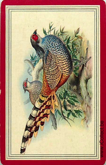 Single Swap Playing Cards Bird Pheasants (PS21-26D)