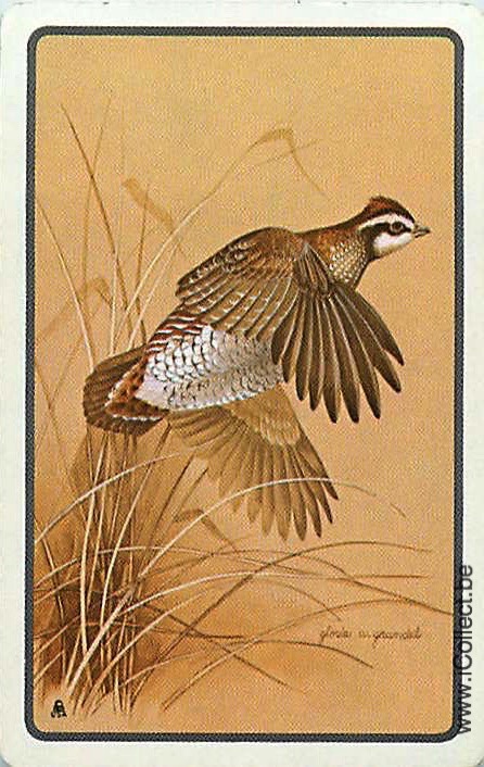 Single Swap Playing Cards Bird Pheasant (PS21-26E)