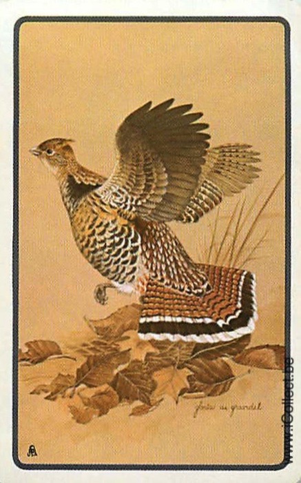 Single Swap Playing Cards Bird Pheasant (PS21-26F)