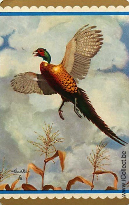 Single Swap Playing Cards Bird Pheasant (PS21-26H)