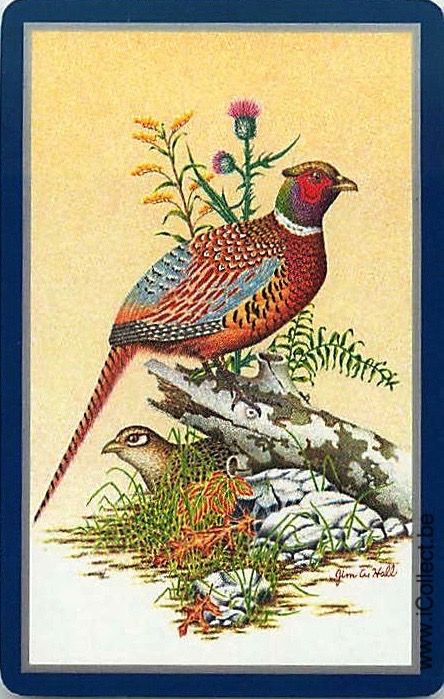 Single Swap Playing Cards Bird Pheasants (PS21-27A)